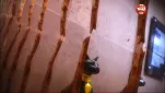 Miraculous ladybug Episode 03 056