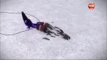 Miraculous ladybug Episode 06 102