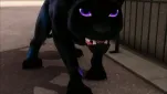 Miraculous ladybug Episode 16 018