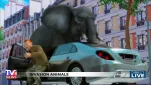 Miraculous ladybug Episode 16 036