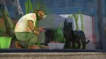 Miraculous ladybug Episode 16 011
