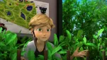 Miraculous ladybug Episode 16 014