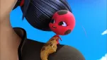 Miraculous ladybug Episode 17 043