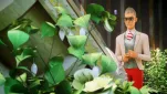 Miraculous ladybug s3e19-06