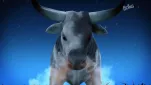 Les Chroniques de Zorro Episode 08-029