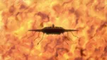 Grendizer-U Episode 12-011