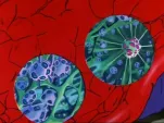 raideen episode06 061