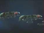 BomberX 030