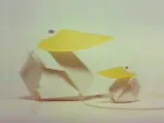 quaq quao-02