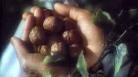 san ku kai lefilm-01