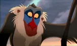 le roi lion 006