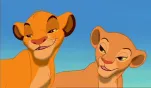 le roi lion 014