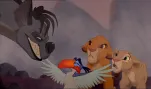 le roi lion 016