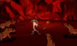 le roi lion 020