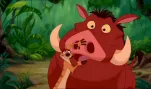 le roi lion 026