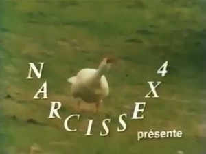 Fichier:Narcisse.jpg