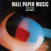 Dave sarkys wall paper.jpg